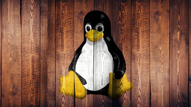 Formation Linux