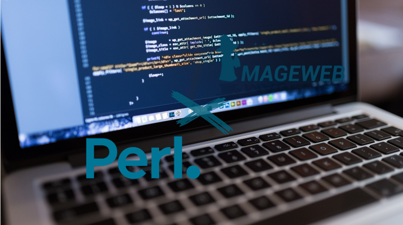 PERL : Le guide complet 